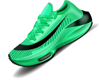 shoe